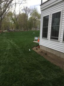 Before and After Lawn Installation in Winchester, MA (8)