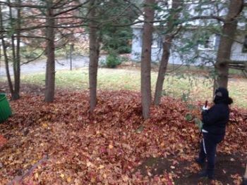 Leaf Removal in Winter Hill by J Landscaping