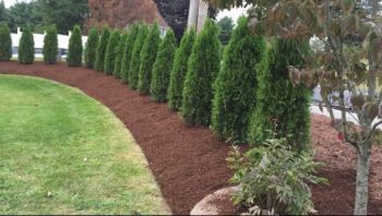 Residential Landscaping in Melrose by J Landscaping