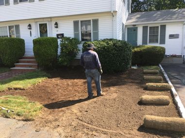 Before & After Sod Installation in Stoneham, MA (1)