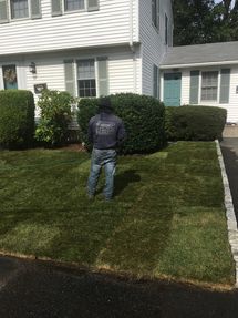 Before & After Sod Installation in Stoneham, MA (2)