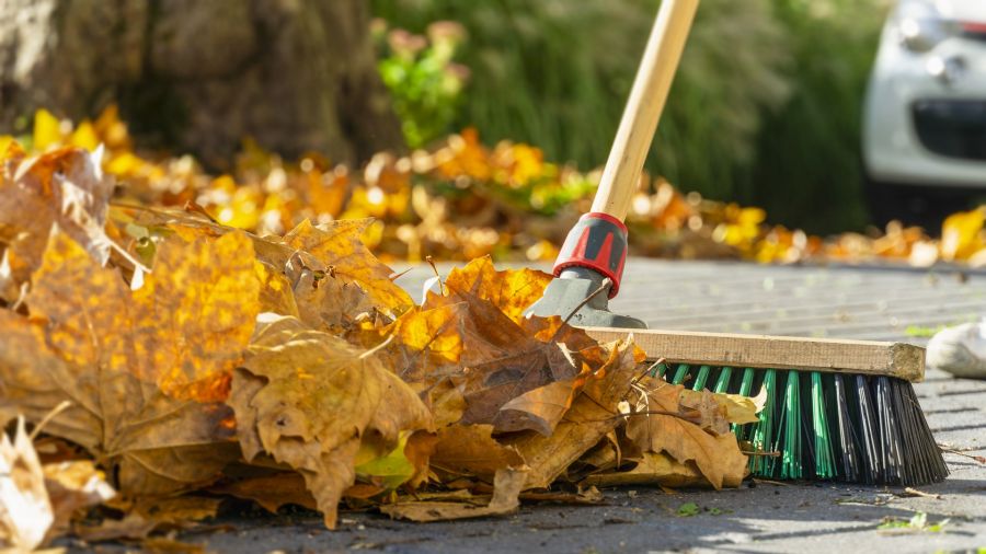 Fall Clean up by J Landscaping