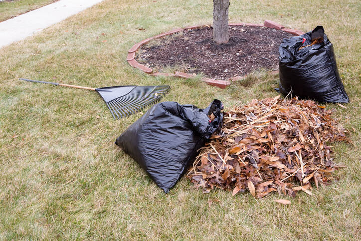 Leaf Removal by J Landscaping