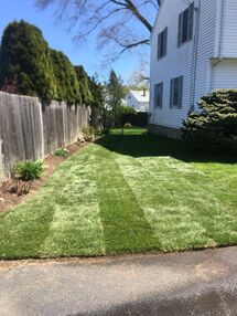 Before and After Lawn Installation in Winchester, MA (5)