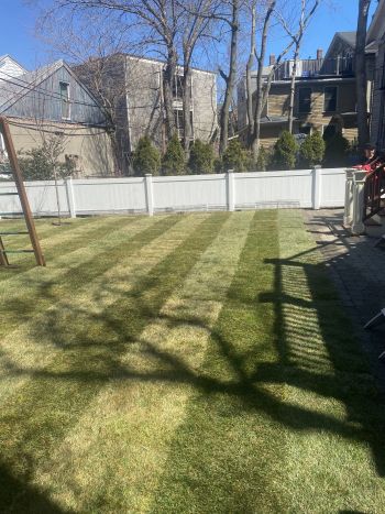 Lawn Spring Cleanup in Cambridge