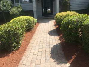 Landscaping in (3)