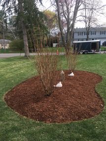 South Hamilton mulch delivery and installation