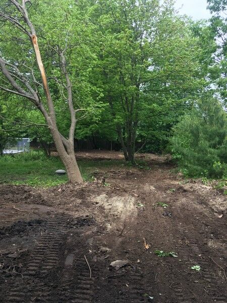 Land Clear in Andover (1)